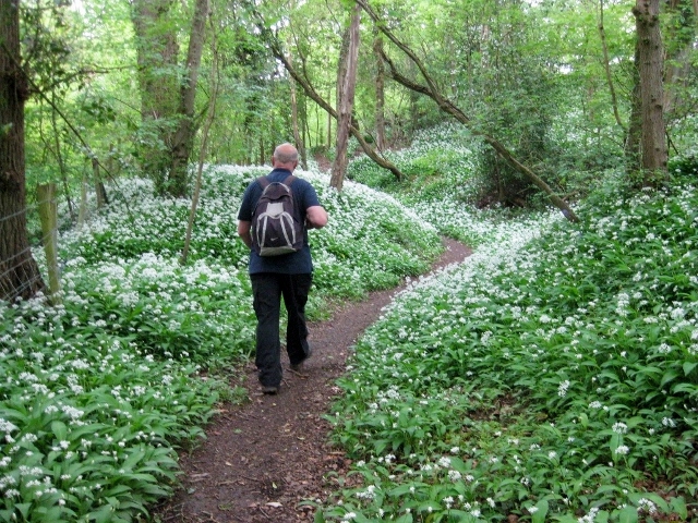 Painswick stream before Damsells Mill